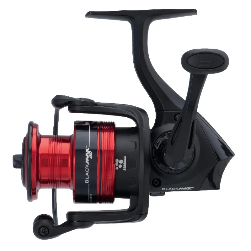 best fishing rods online Abu Garcia Blackmax 30 Spinning Reel