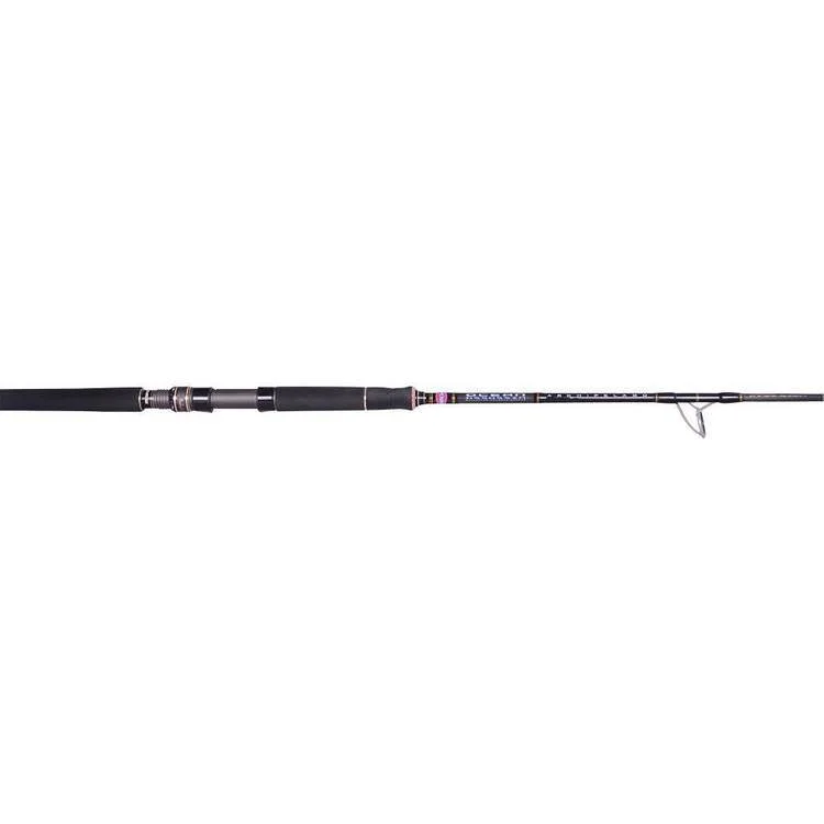 best all-around spinning reels Penn Ocean Assassin Graphite Rods Clearance