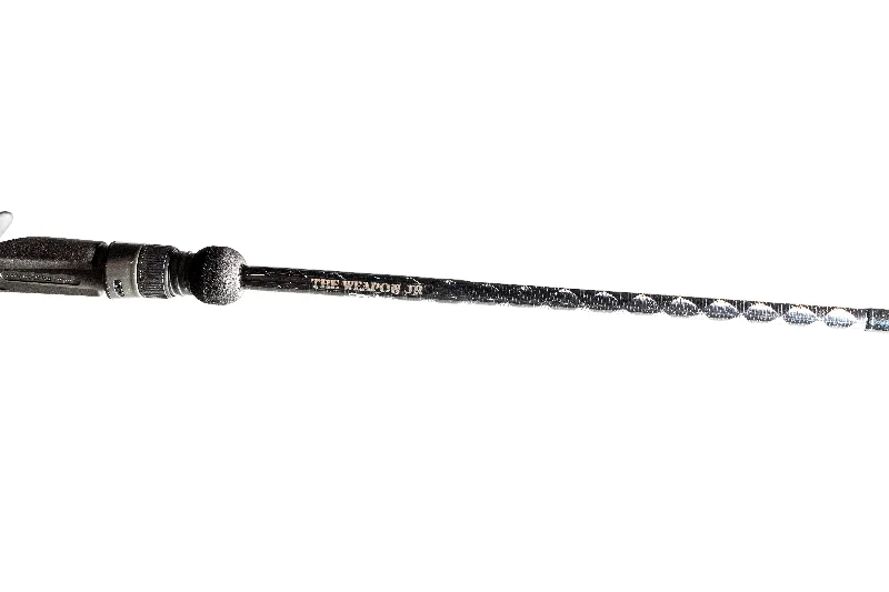 electric fishing reels for deep sea The Weapon Jr by Century Rods