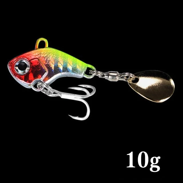 A  10g