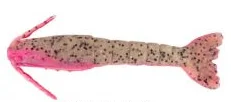Pink Belly Shrimp