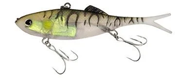 Baitfish
