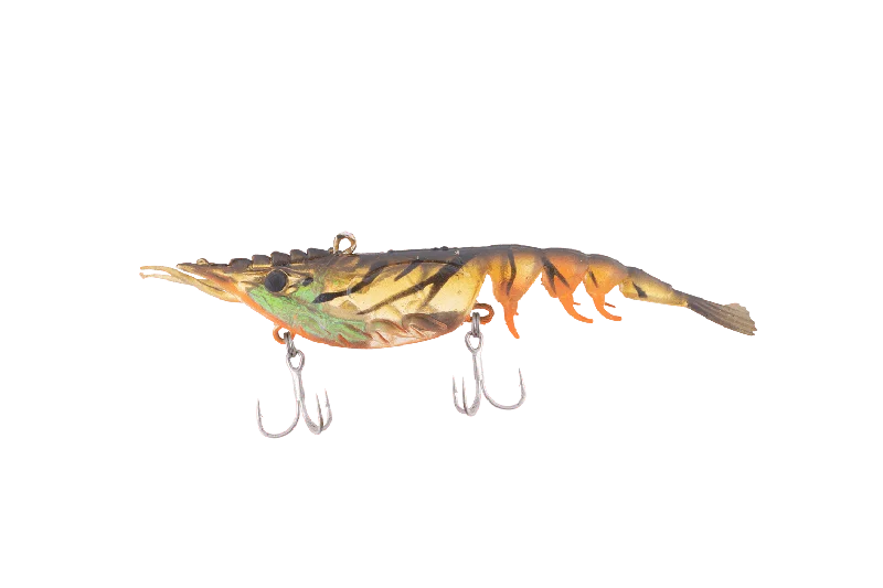Orange Belly Shrimp