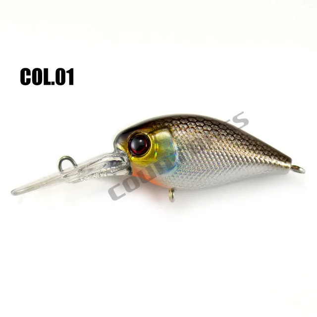 COL 01