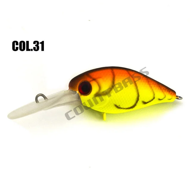 COL 31