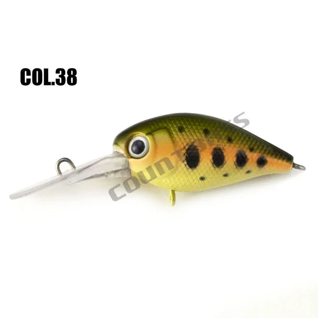 COL 38