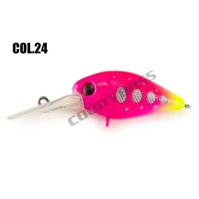 COL 24