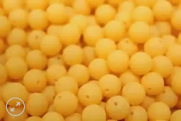 lightweight aluminum fishing gaffs Great Lakes Steelhead Co. Trick Em Beads 8mm Cheeze Doodle lightweight aluminum fishing gaffs Great Lakes Steelhead Co. Trick Em Beads 8mm Cheeze Doodle