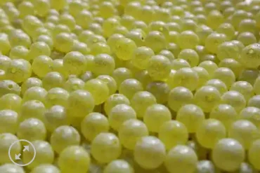 compact lure wraps for easy storage Great Lakes Steelhead Co. Trick Em Beads 8mm Steelhead Snot Scrambled compact lure wraps for easy storage Great Lakes Steelhead Co. Trick Em Beads 8mm Steelhead Snot Scrambled