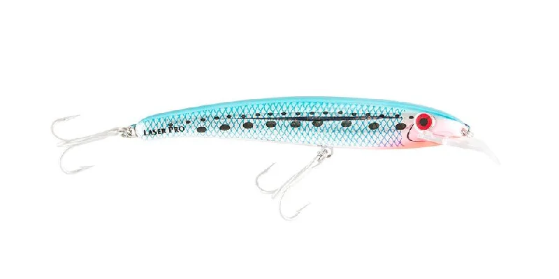 Pilchard