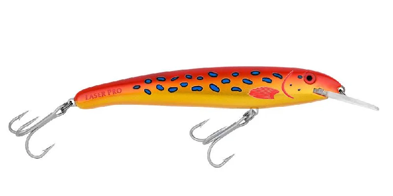 Coral Trout