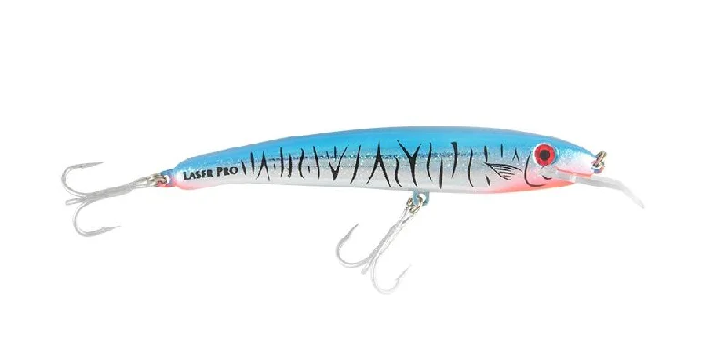 Baitfish