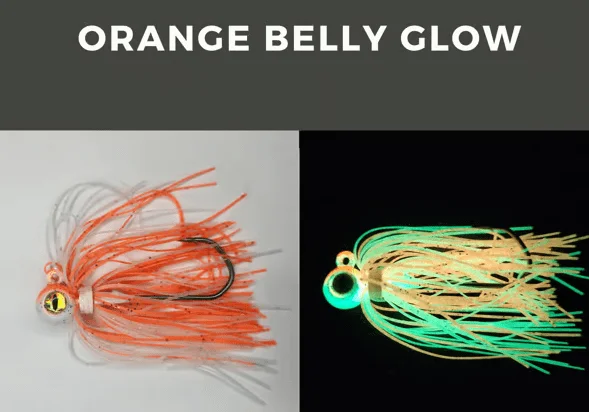 Orange Belly Shrimp