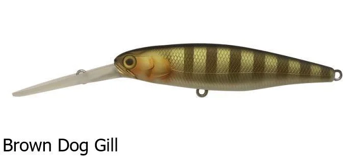 Brown Dog Gill