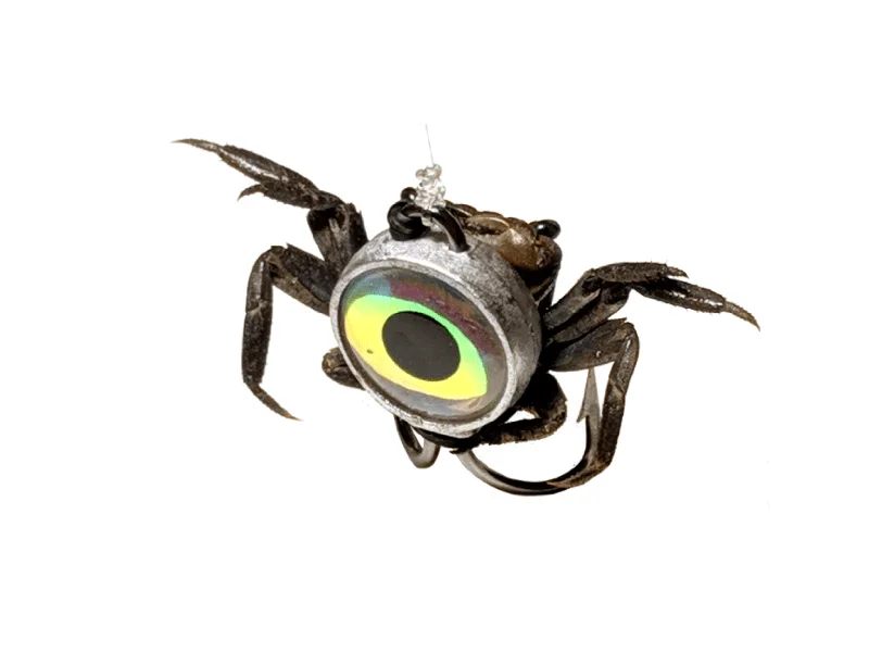 deep sea fishing tips expert Jail Bait Reef Jigs