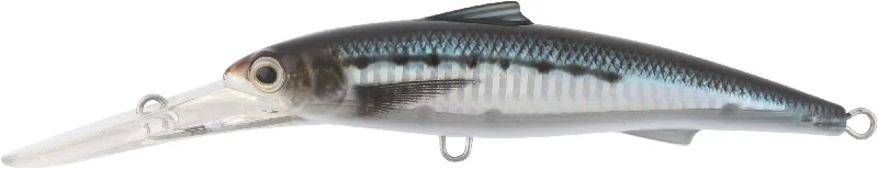 Pilchard