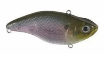 Spooky Shad