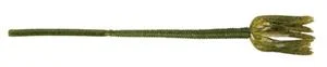 heavy-duty trolling rods for big game Yum Shakalicious Worm 5" F2 Watermelon Seed